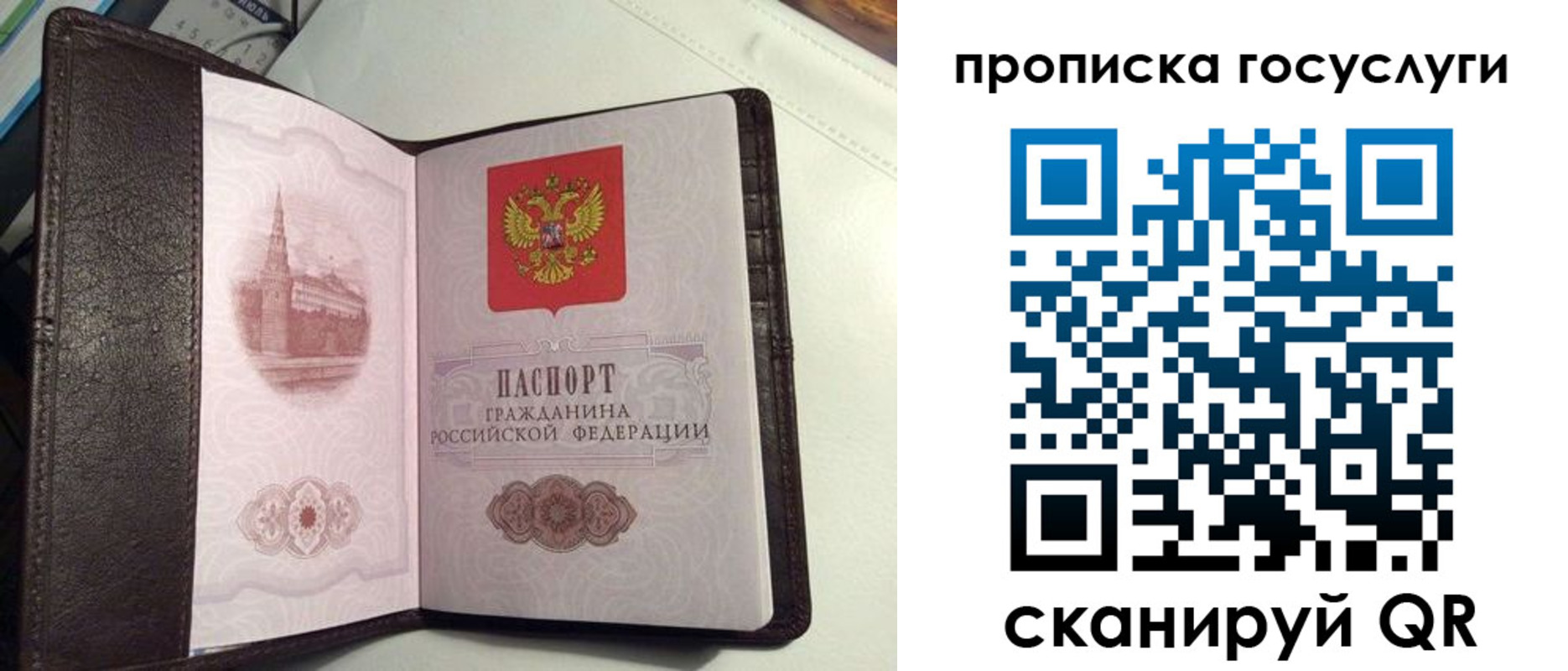 временная прописка в Новочеркасске